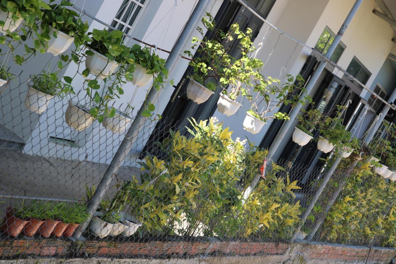 Green Garden House Χόι Αν Εξωτερικό φωτογραφία